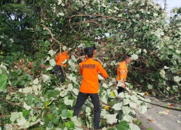 Screenshot_2024-11-19-13-58-48-61_40deb401b9ffe8e1df2f1cc5ba480b12