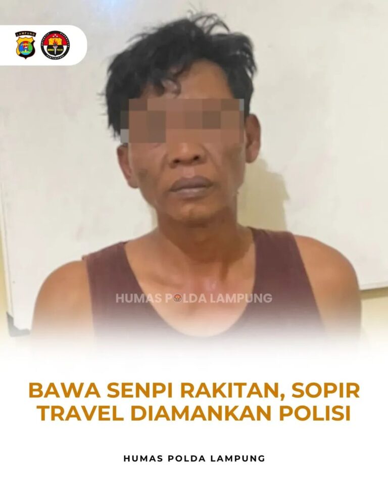 FB_IMG_1766205176398