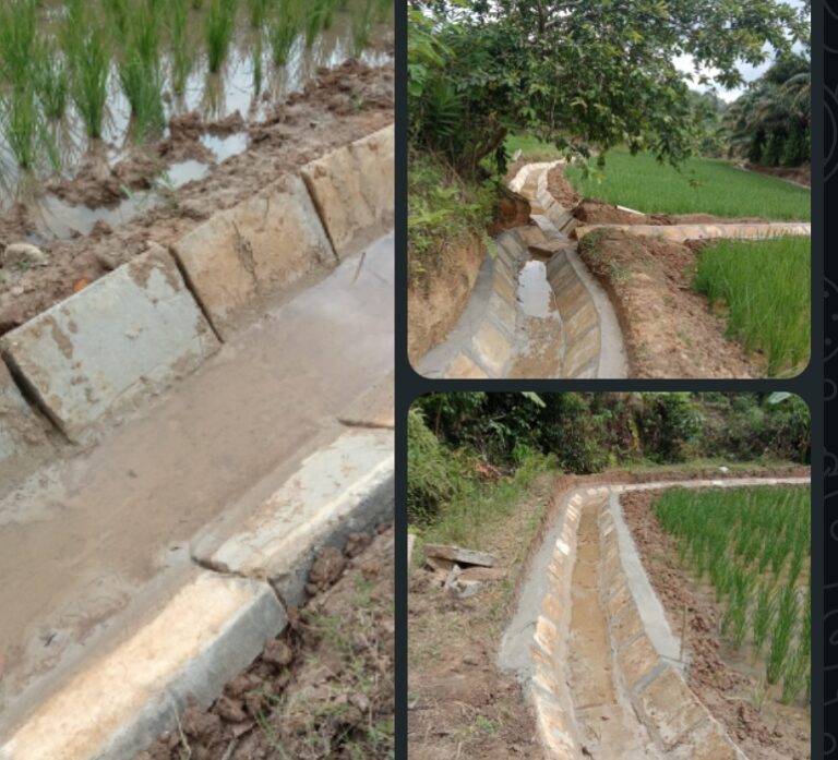 Screenshot_2025-12-25-17-46-12-28_6012fa4d4ddec268fc5c7112cbb265e7