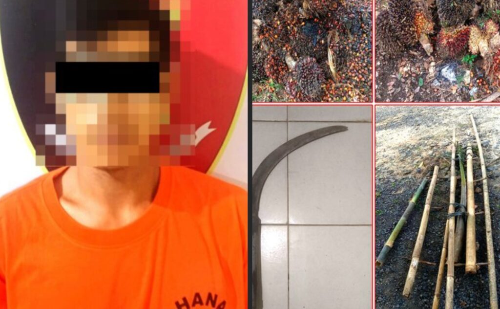 Screenshot_2026-02-25-10-21-20-38_a23b203fd3aafc6dcb84e438dda678b6