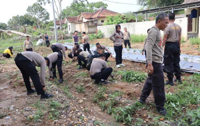 Screenshot_2024-11-10-08-59-18-81_6012fa4d4ddec268fc5c7112cbb265e7