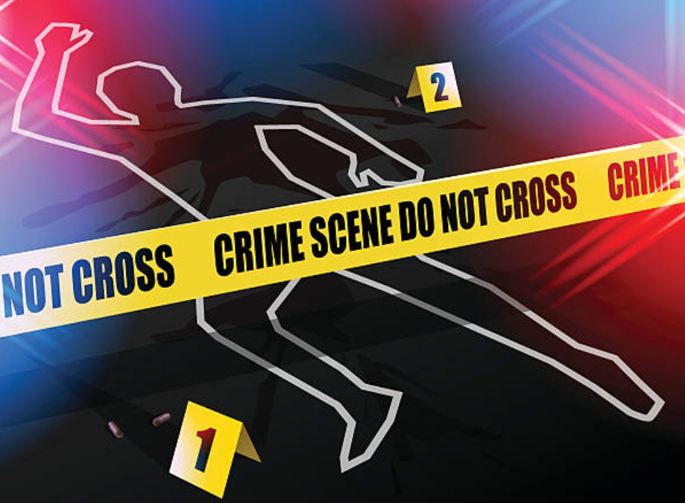 Screenshot_2025-01-11-10-31-56-89_40deb401b9ffe8e1df2f1cc5ba480b12