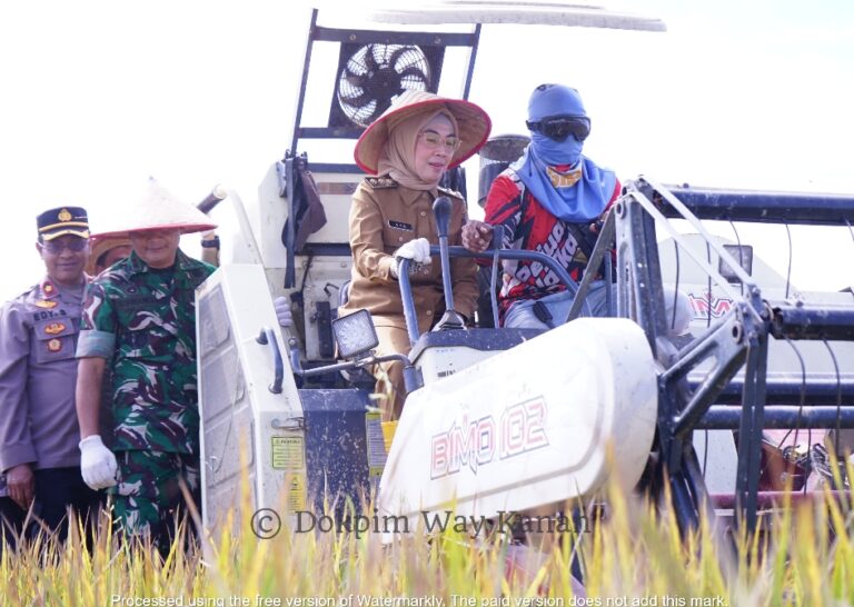 Screenshot_2025-04-07-15-47-33-77_40deb401b9ffe8e1df2f1cc5ba480b12