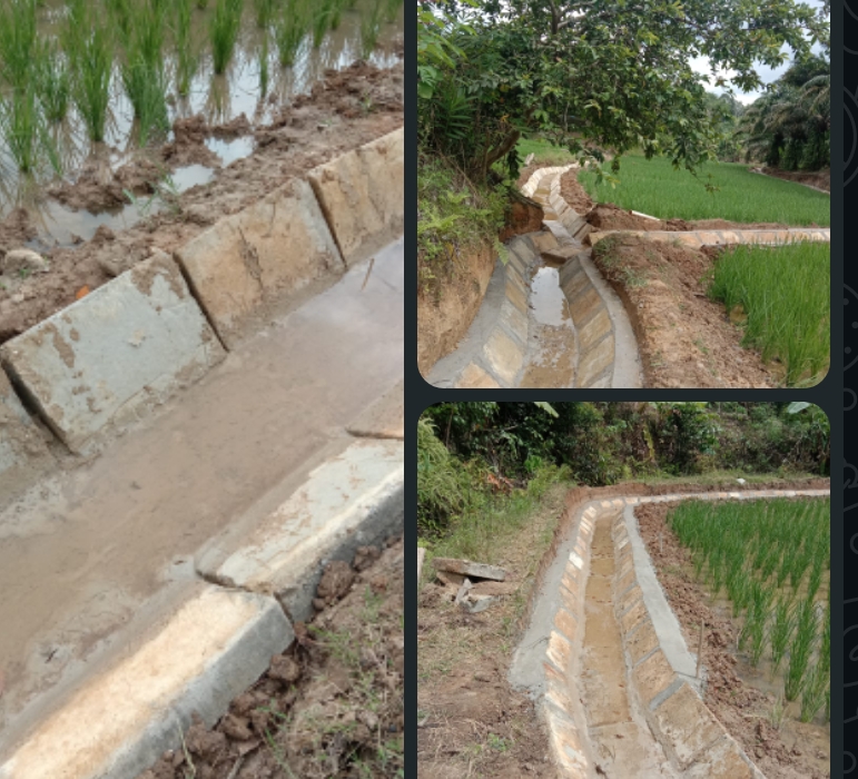 Screenshot_2025-12-25-17-46-12-28_6012fa4d4ddec268fc5c7112cbb265e7