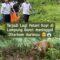 FB_IMG_1780331584218
