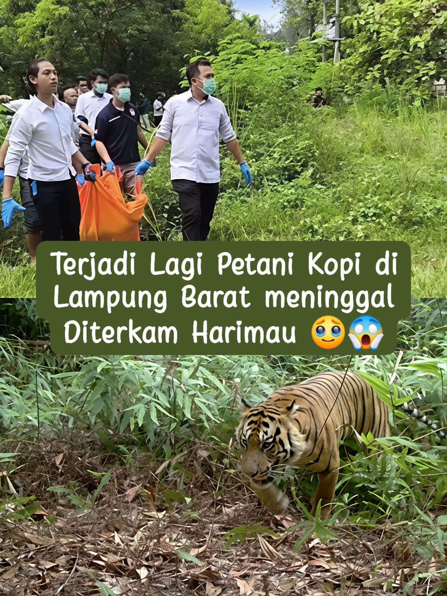 FB_IMG_1780331584218