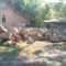 IMG-20260604-WA0207
