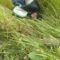 IMG-20260701-WA0059